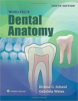 خرید کتاب Woelfels Dental Anatomy 9th Edition | آناتومی دندان 2017 | نشر اشراقیه