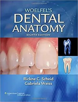 کتاب افست آناتومی دندان | Woelfel's Dental Anatomy 8th