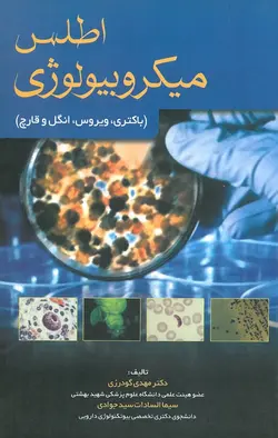 خرید کتاب اطلس میکروبیولوژی (باکتری، ویروس، انگل و قارچ) | نشر اشراقیه