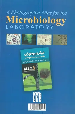خرید کتاب اطلس میکروبیولوژی (باکتری، ویروس، انگل و قارچ) | نشر اشراقیه