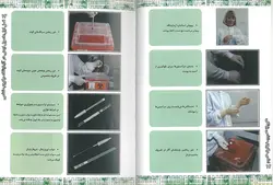 خرید کتاب اطلس میکروبیولوژی (باکتری، ویروس، انگل و قارچ) | نشر اشراقیه