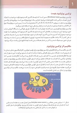 خرید کتاب بوتاکس دکتر بیدکی | ویراست دوم | نشر اشراقیه