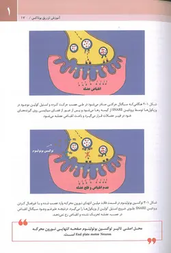 خرید کتاب بوتاکس دکتر بیدکی | ویراست دوم | نشر اشراقیه