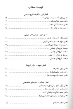 خرید کتاب نگاهی نو به قارچ شناسی پزشکی | نشر اشراقیه