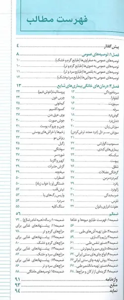 خرید کتاب 400 درمان خانگی | 40 بیماری شایع با رویکرد طبیعی درمانی | نشر اشراقیه