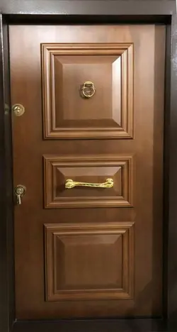 sepahan door