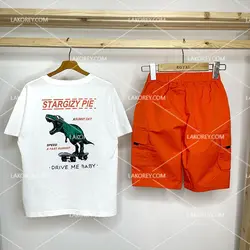 ست دایناسور - 1002116