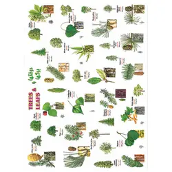 برچسب آموزشی درخت ها و برگ ها &ndash; قیمت و خرید | برایتو