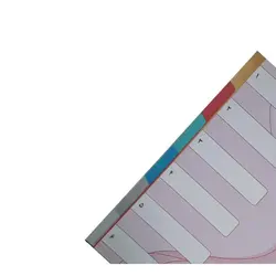 دیوایدر پلاستیکی 6 عددی پیلاوران 6 رنگ &ndash; برایتو| فروش اینترنتی لوازم التحریر، لوازم تحریر، ملزومات اداری