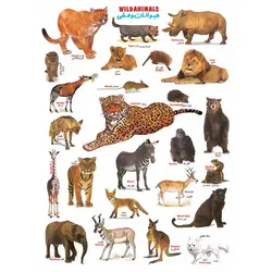 برچسب آموزشی حیوانات وحشی &ndash; برایتو| فروش اینترنتی لوازم التحریر، لوازم تحریر، ملزومات اداری