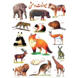 برچسب آموزشی حیوانات وحشی &ndash; برایتو| فروش اینترنتی لوازم التحریر، لوازم تحریر، ملزومات اداری