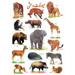 برچسب آموزشی حیوانات وحشی &ndash; برایتو| فروش اینترنتی لوازم التحریر، لوازم تحریر، ملزومات اداری