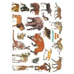 برچسب آموزشی حیوانات وحشی &ndash; برایتو| فروش اینترنتی لوازم التحریر، لوازم تحریر، ملزومات اداری