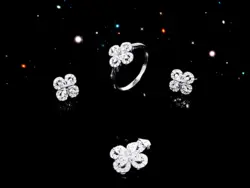 نیم ست نقره برگ