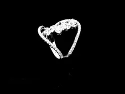 انگشتر نقره صدف