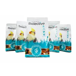 غذای عروس هلندی بسته 5 عددی