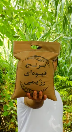 برنج قهوه ای رژیمی ۱۰ کیلوگرمی