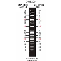لدر دی ان ای | 1Kb DNA ladder - فروشگاه اینترنتی کیاژن