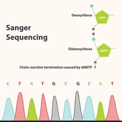 توالی یابی سنگر | Sanger Sequencing - فروشگاه اینترنتی کیاژن