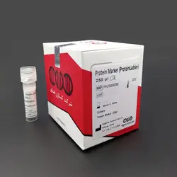 نشانگر- لدر- پروتئین|Protein Marker-ladder فروشگاه کیاژن