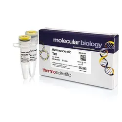 آنزیم BamHI (10 U/µL) | کمپانی Thermo Fisher Scientific