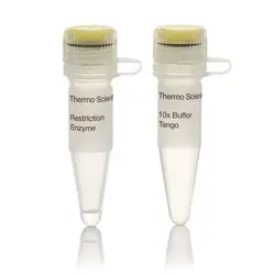 آنزیم Eco88I (AvaI) (10 U/µL) | کمپانی Thermo Fisher Scientific