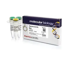 آنزیم MnlI (10 U/µL) | کمپانی Thermo Fisher Scientific