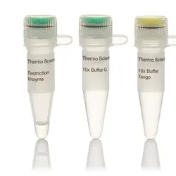 آنزیم MnlI (10 U/µL) | کمپانی Thermo Fisher Scientific