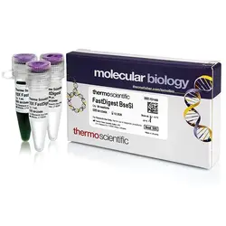 آنزیم FastDigest BseSI | کمپانی Thermo Fisher Scientific - فروشگاه اینترنتی کیاژن