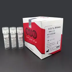 Hot Start Taq DNA Polymerase kit | کیت تگ پلیمراز هات استارت - فروشگاه اینترنتی کیاژن