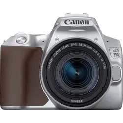 دوربین عکاسی کانن CANON EOS 250D Kit EF-S 18-55 mm f/4-5.6 IS STM-Silver