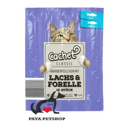 تشویقی مدادی گربه برند کچت طعم ماهی