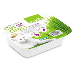 علف مخصوص گربه برند رویالیست Royalist