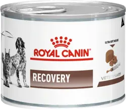 کنسرو ریکاوری سگ و گربه برند رویال کنین ROYAL CANIN