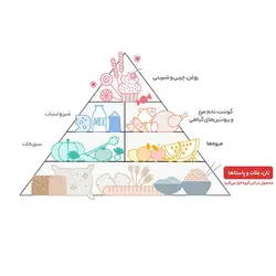 ماکارونی پروانه ای فانتزی 500g زر ماکارون - الو هایپر