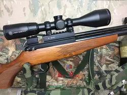 تفنگ پی سی پی اوانیکس ar6 نیمه اتوماتیک کارابین 65 ژولی با تجهیزات کامل