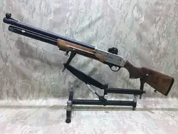 تفنگ پی سی پی گالاتیان تیپ 5 نیمه اتوماتیک 55 ژولی با لوازم کامل