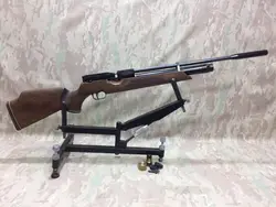 تفنگ پی سی پی وایرخ ۱۰۰ مونت کارلو در حد پلمپ