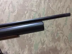 تفنگ پی سی پی اسلکون Mx9