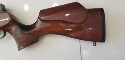 تفنگ پی سی پی اوانيكس رين استورم 80 ژولی لول شرود