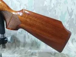 تفنگ پی سی پی ساميانگ سوماترا ٧٠٠٠  گلدن سيور ۱۱۰ ژولی در حد آكبند
