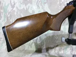 تفنگ بادی دیانا 54 آرم حک دیانا t05 خیلی تمیز