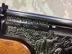 تفنگ پی سی پی سامیانگ سوماترا گولدن سیور 7000 در حد پلمپ