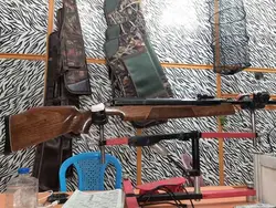 تفنگ بادی دیانا 54 آرم حک T05 دست دوم تمیز