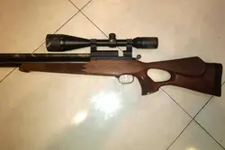 تفنگ پی سی پی اوانیکس AR6