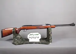 تفنگ بادی دیانا 460