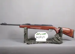 تفنگ بادی دیانا 52