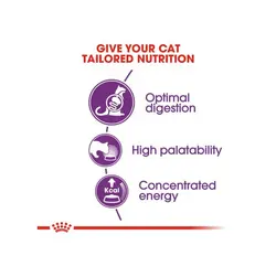 غذای خشک گربه رویال کنین طعم مرغ مدل Sensible وزن ۲ کیلوگرم