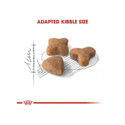 غذای خشک گربه رویال کنین طعم مرغ مدل Sensible وزن ۲ کیلوگرم