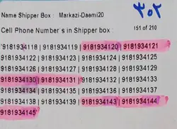 918 پلمپ طرح بیست P302